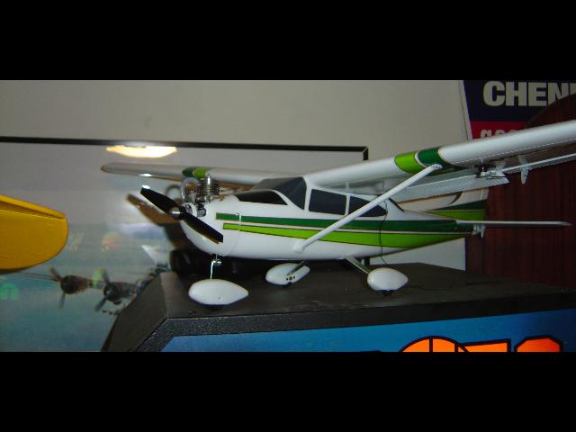 sturdy birdy rc plane